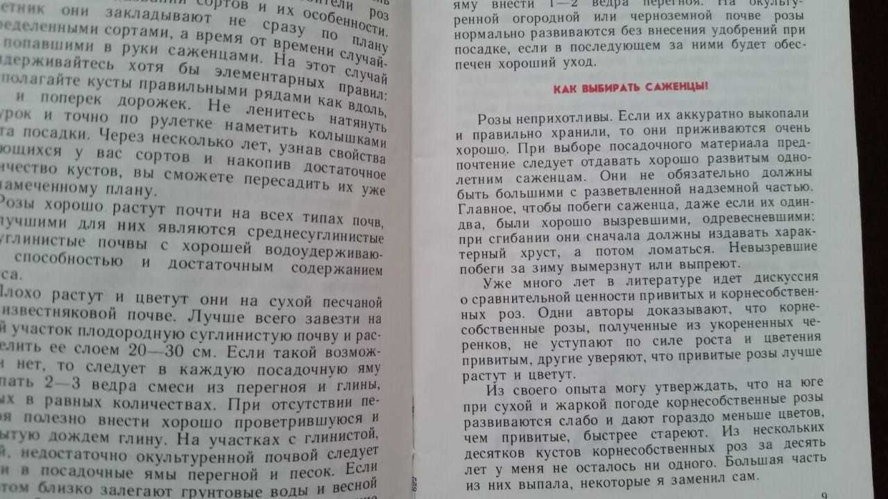 Розы. Фиалки. Лилии