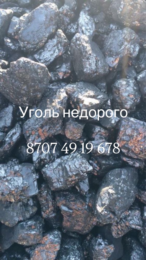 Уголь Каражыра простой и калиброванный