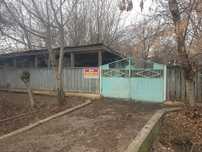 Уй сатылады алгабас ауылында