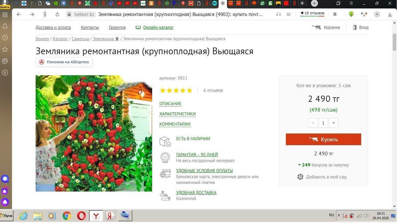 Рассада "Вьющейся" ремонтантной  клубники