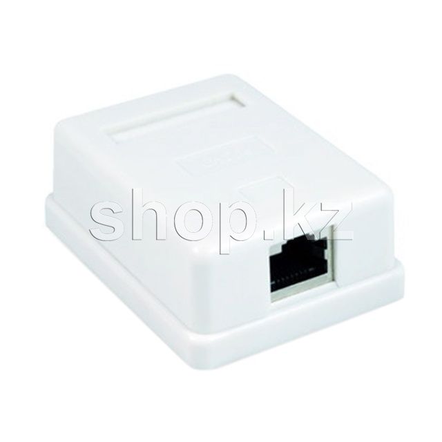 Розетка компьютерная настенная  RJ45.
