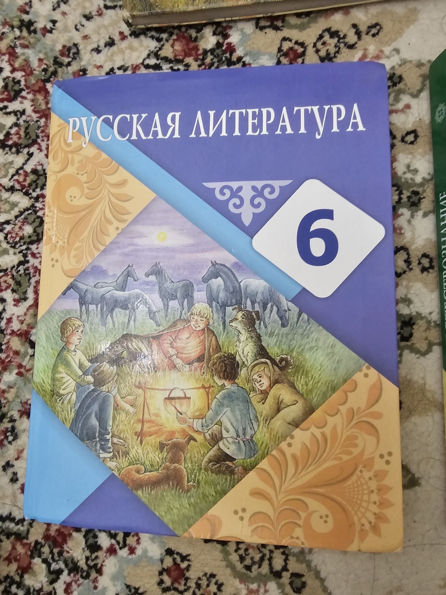 Учебники школьные 6 класс