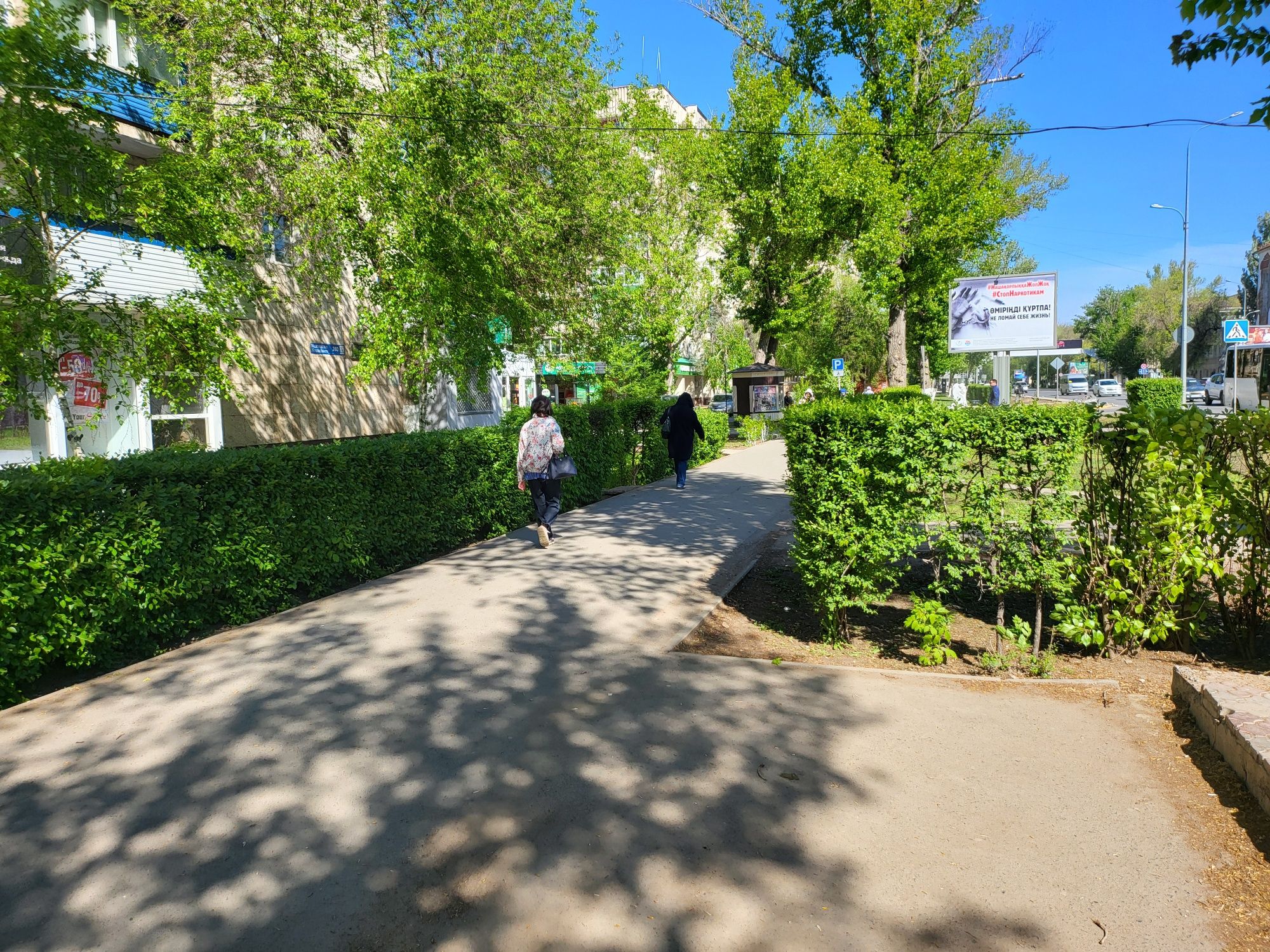Стрижка, формовка живой изгороди, кустарников