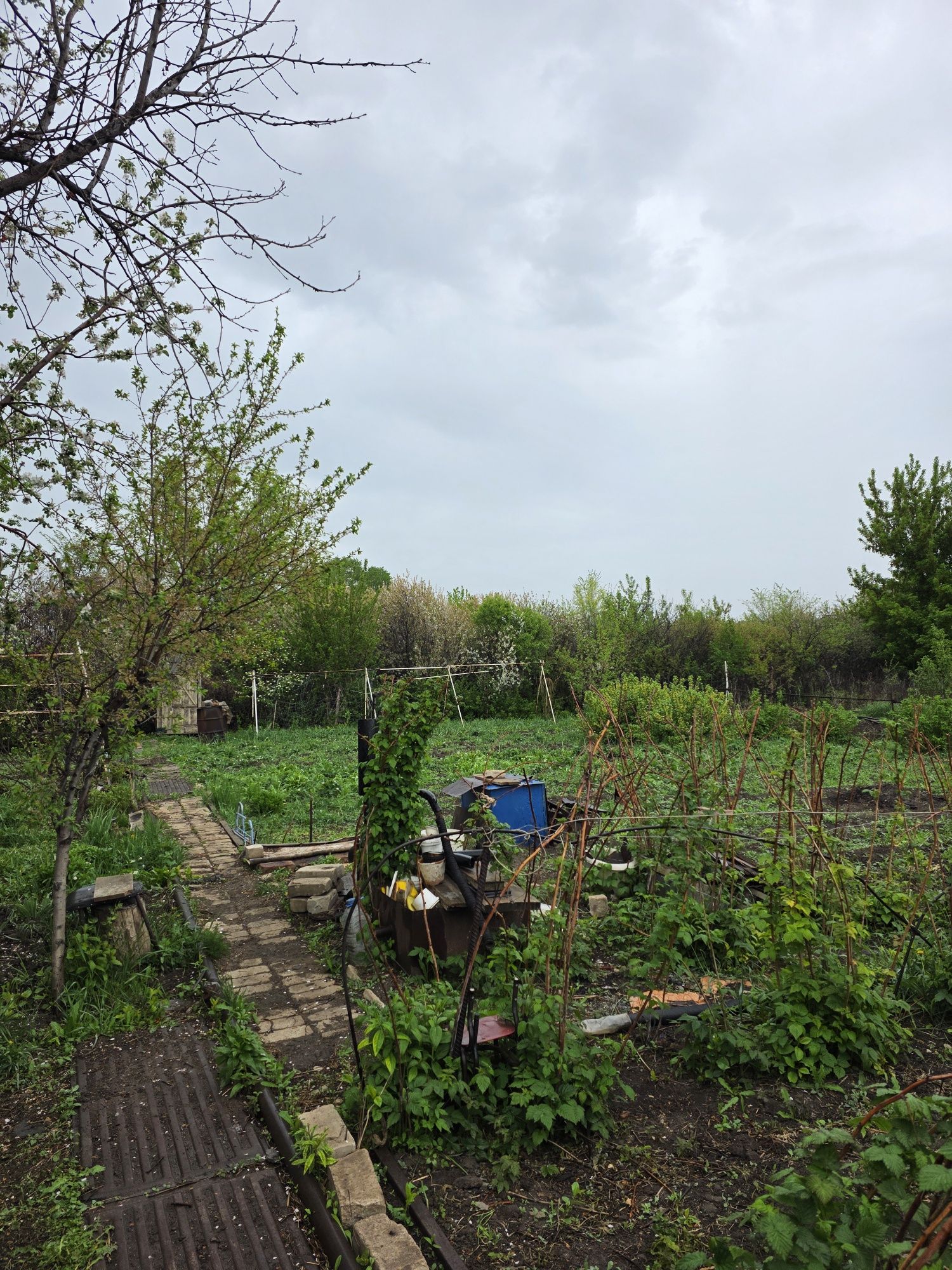 Продается дача в Мелиоратор 7,3 сот.