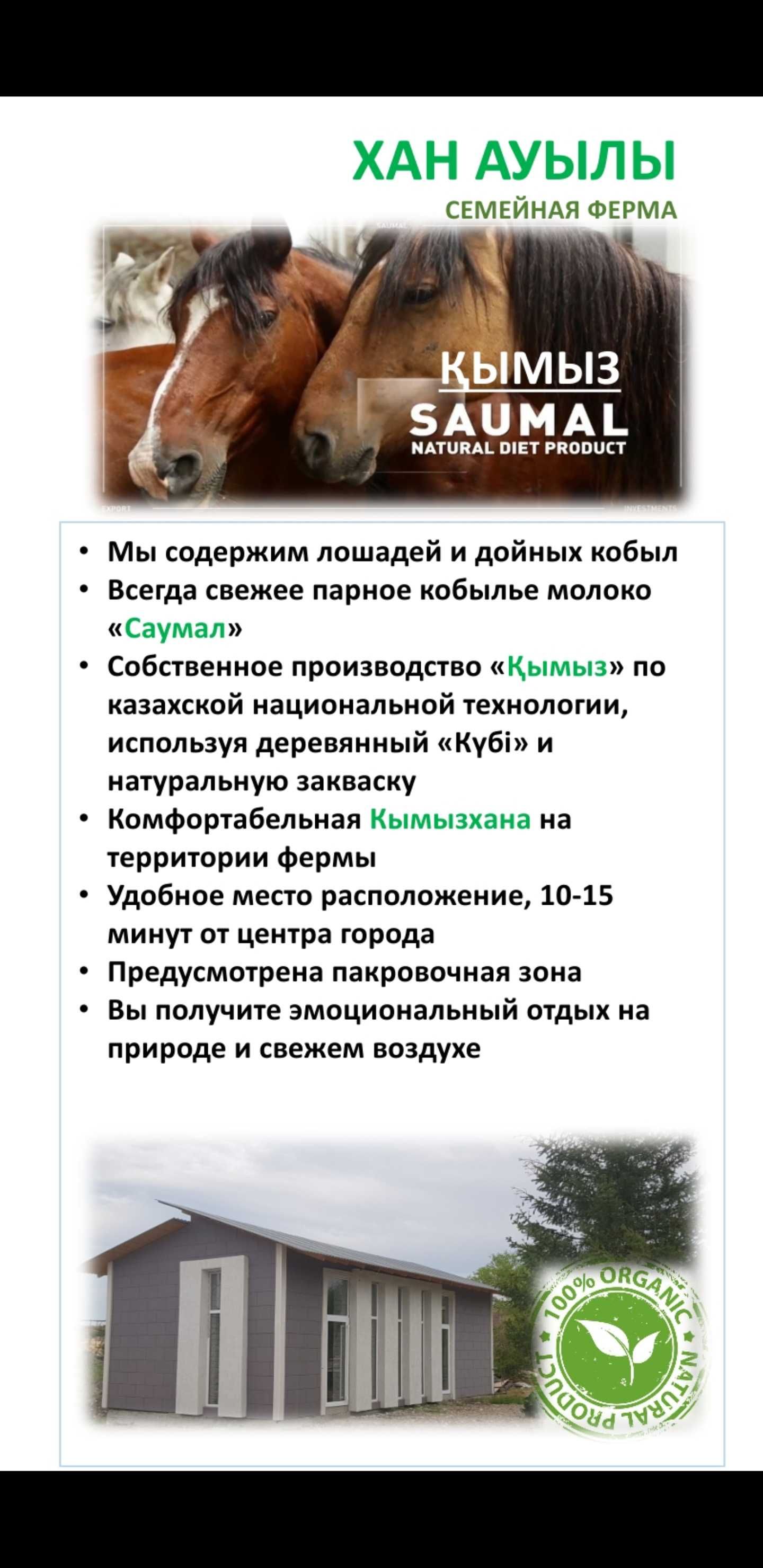 Саумал Кымыз свежее, по графику