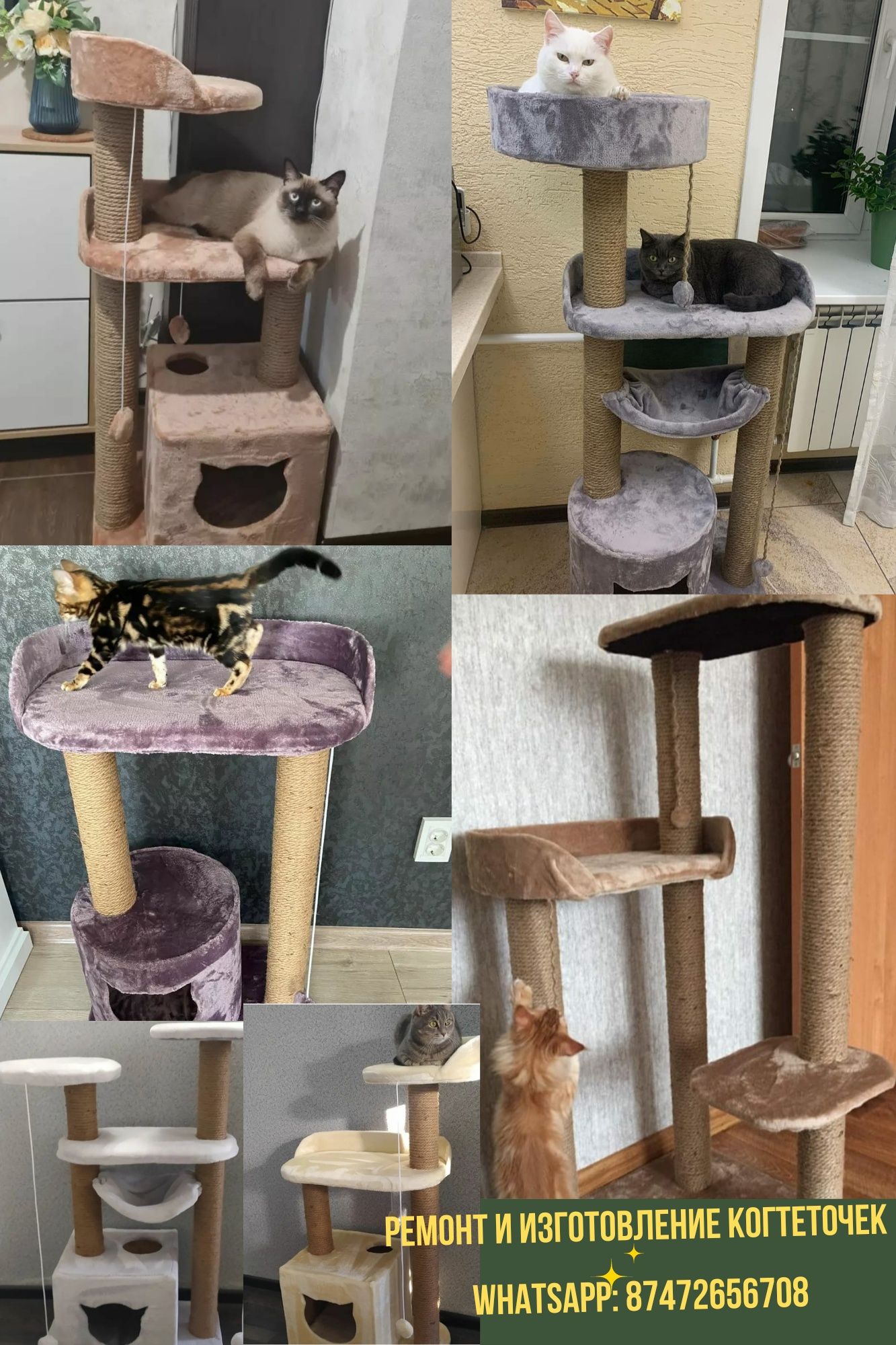 Изготовление когтеточек