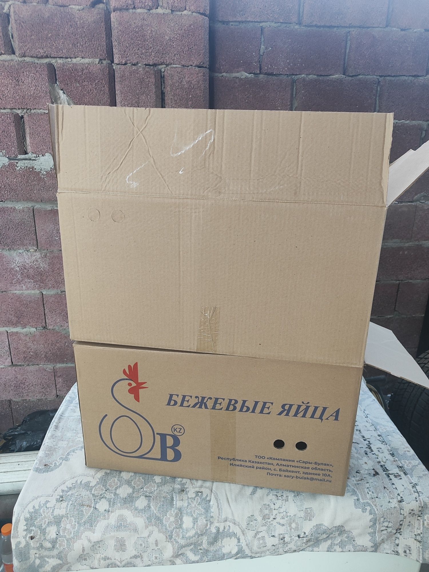 Коробки для яйц.