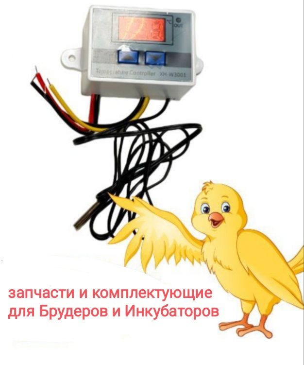 үйдегі кафе-бақшаға арналған тұман