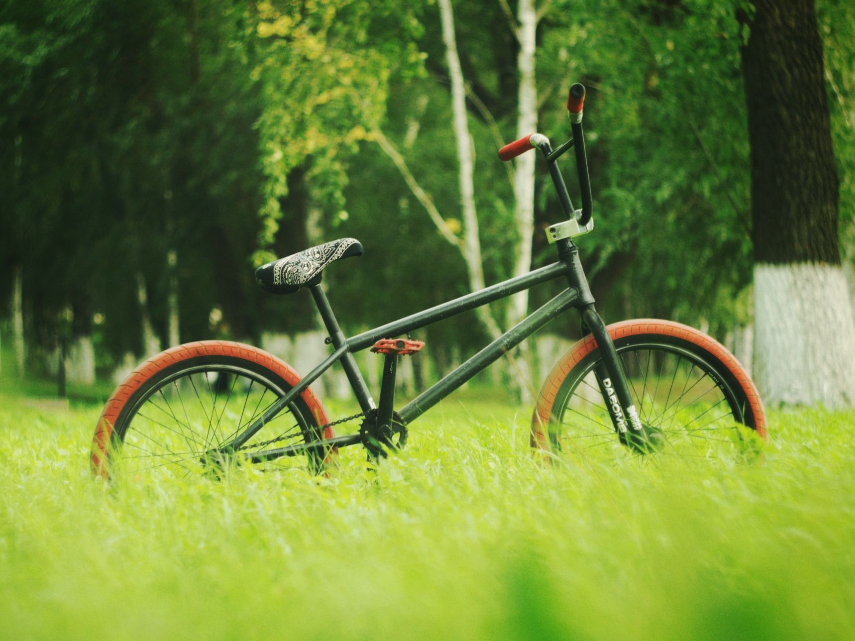 BMX custom 21рама