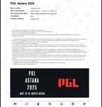 Продам билет на PGL Astana
