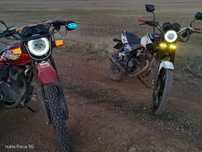 продам raser tiger 2