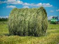 Продам сено в рулонах