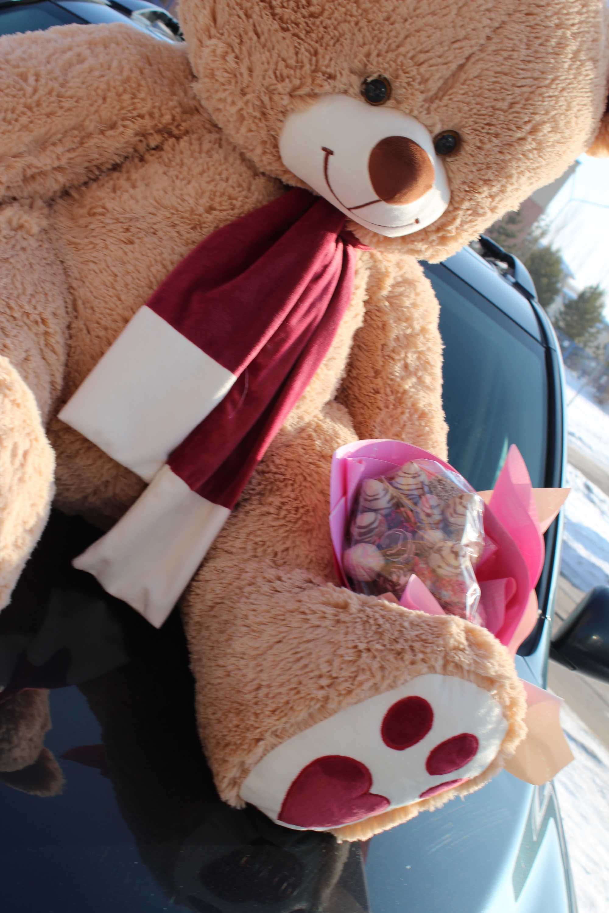 мягкие игрушки плюшевые медведи Нестор Тедди Teddyмишка мишки от 12500