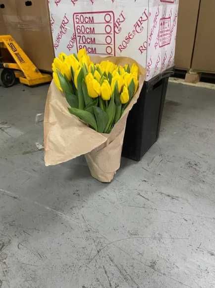 Продажа тюльпанов