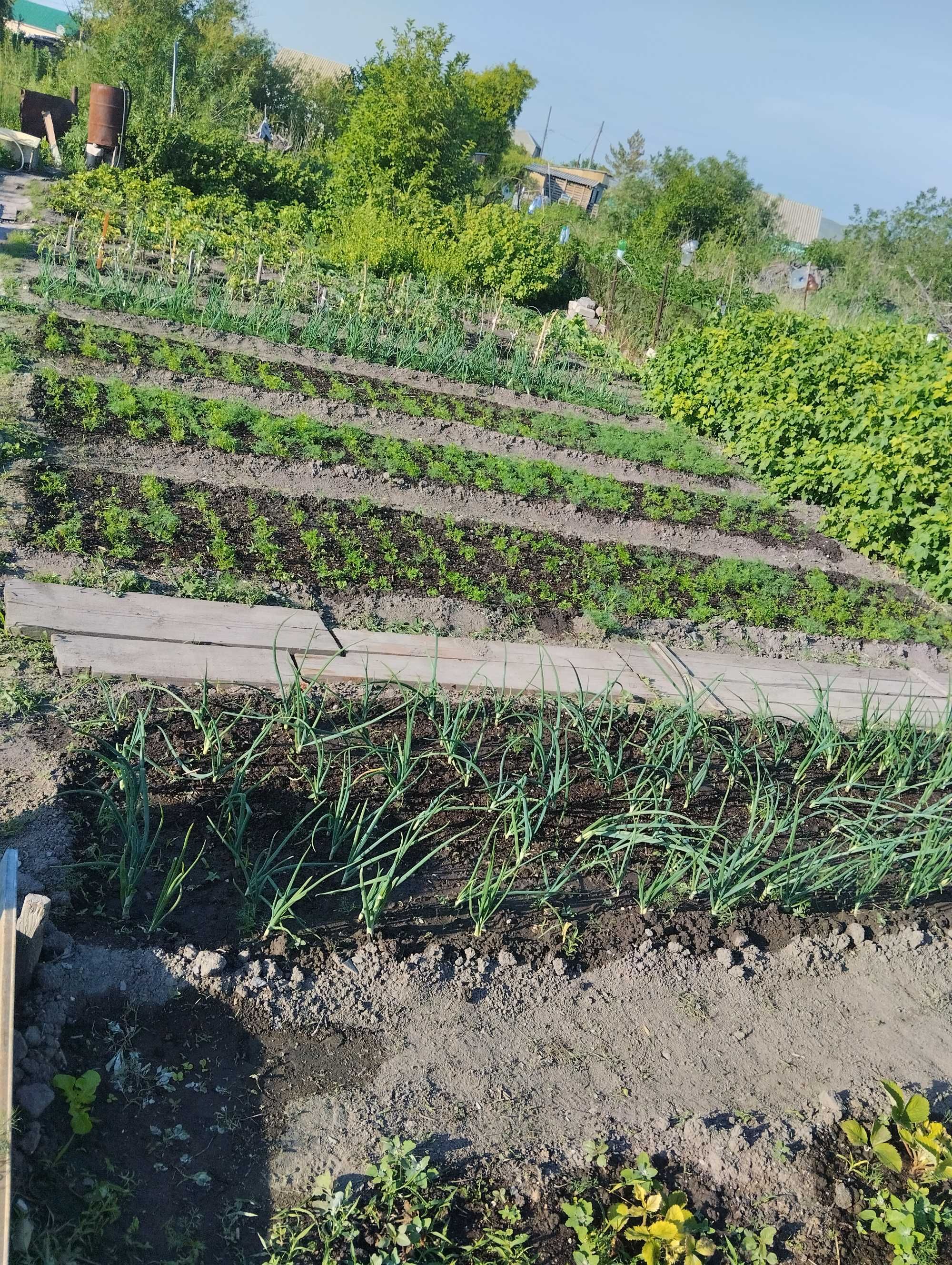 Продам дачу, земельный участок 0,06 га