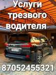 Трезвый водитель