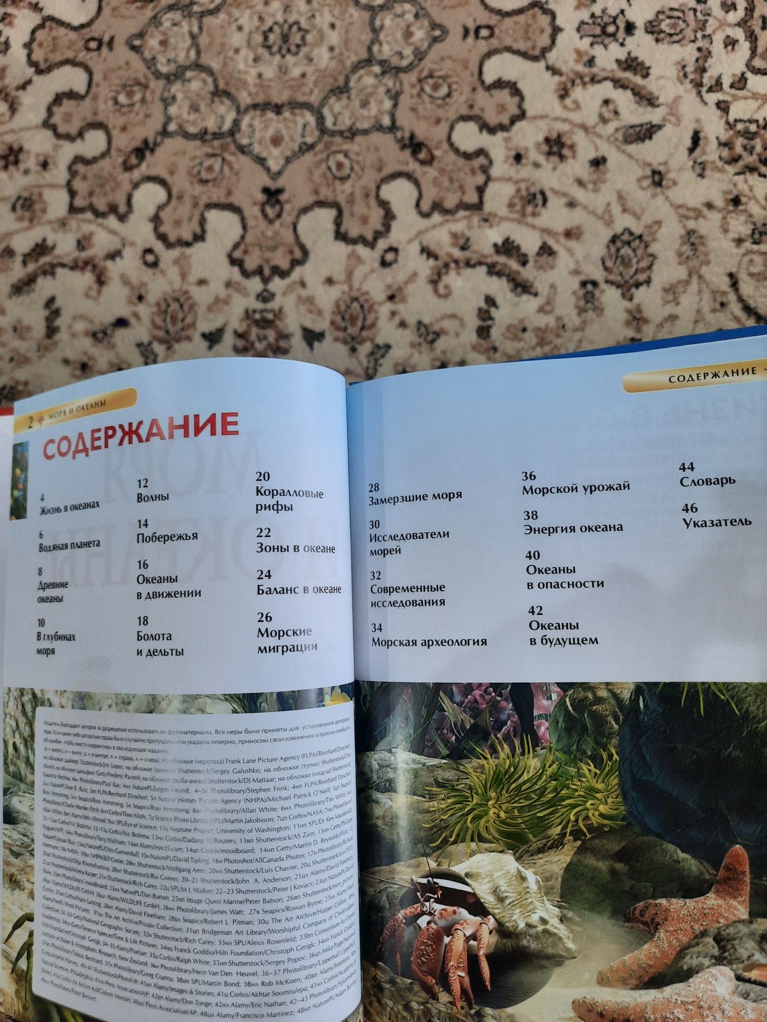 Новая детская энциклопедия Моря и океаны