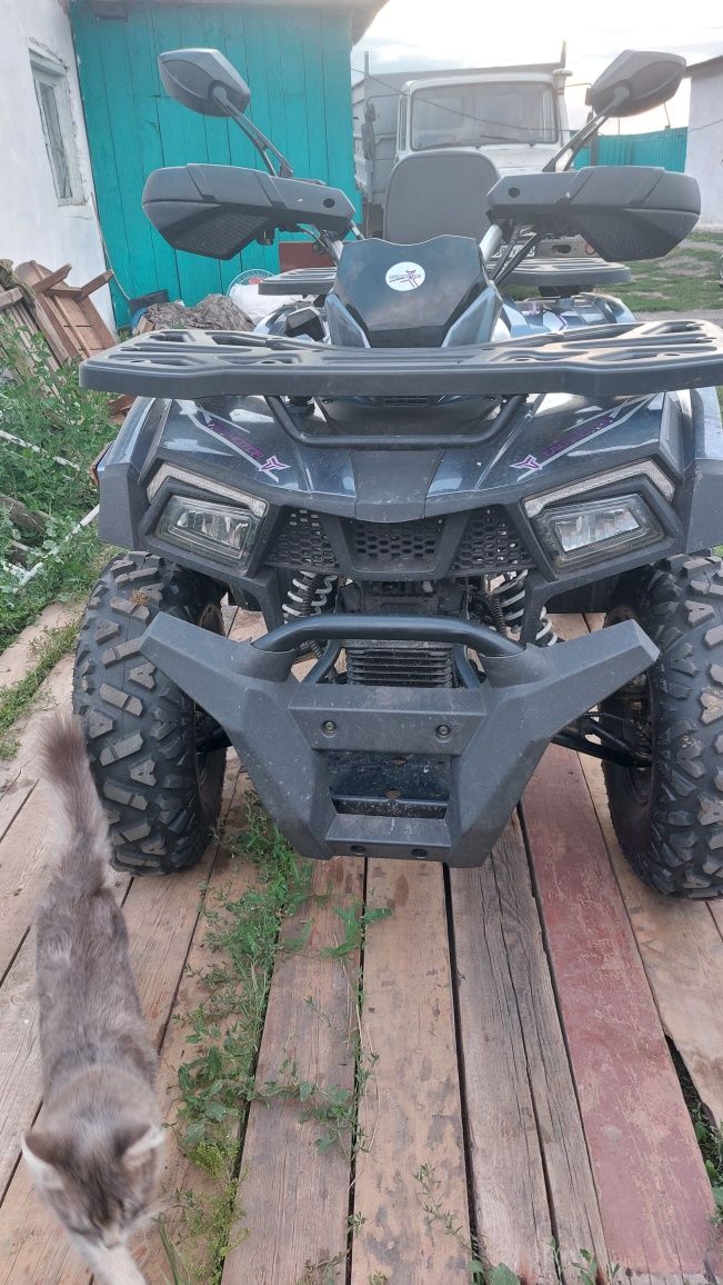 Квадроцикл TAO MOTORS 200 Shark