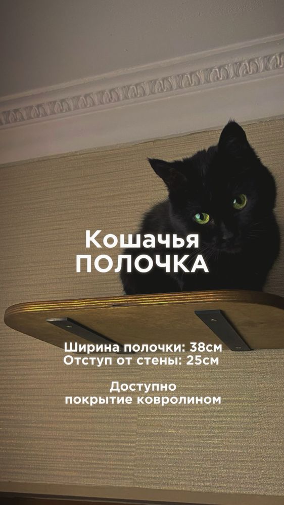 Настенный комплекс для кошек с установкой