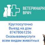 Ветеринарный врач