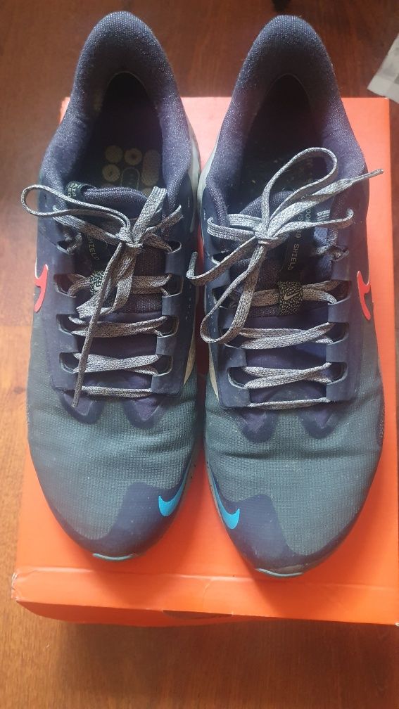 Кроссовки Nike  pegasus 39 shield