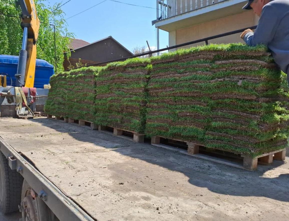 Свежий рулонный газон под ключ с гарантией
