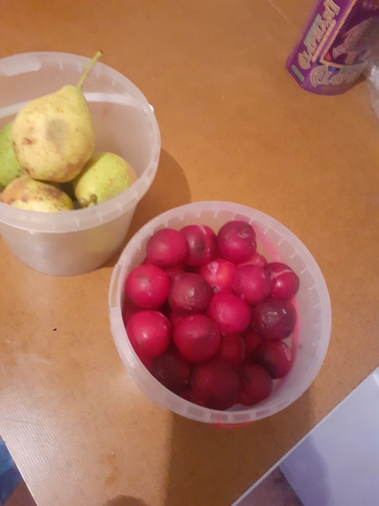 Продам садовую вишню под заказ, яблоки, груши, сливы.