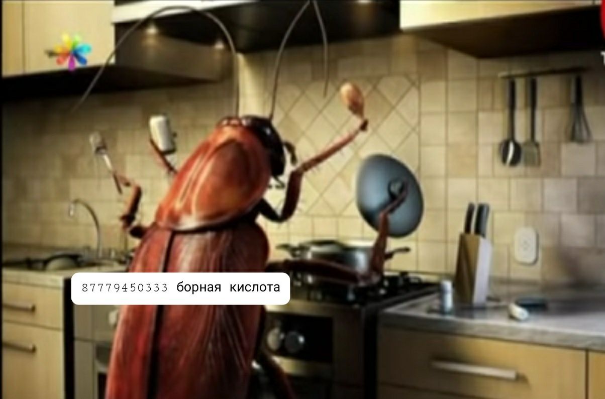 Борный порошок 7500 тг
