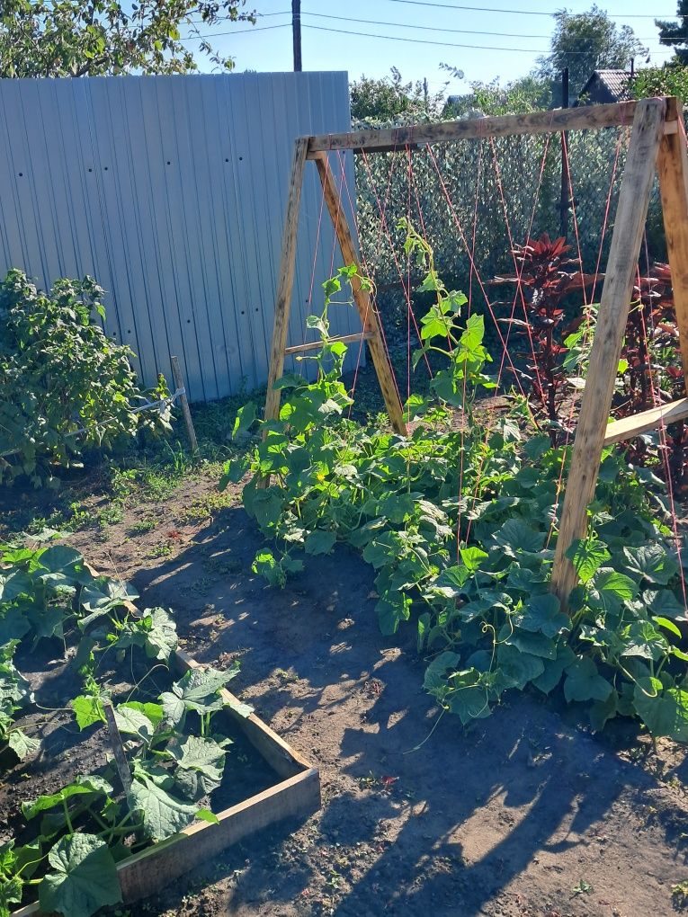 Продам дачу ВДУ ВЕСНА
