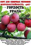 Продам саженцы плодовых и декоративных растений из российских питомник