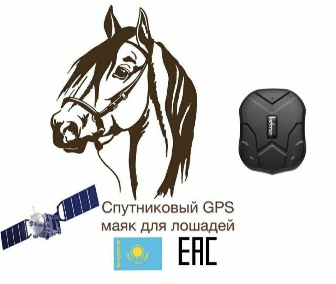 GPS треккер TK905 для лошадей коров баранов машин автомобилей