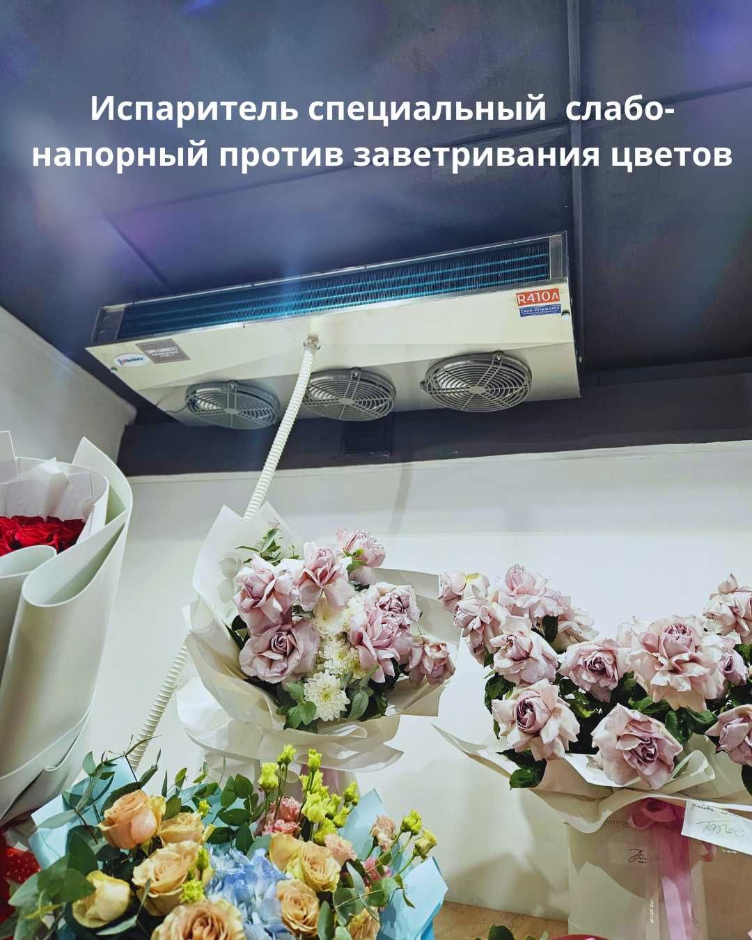 Промышленное холодильное оборудование, агрегаты, сплит-системы