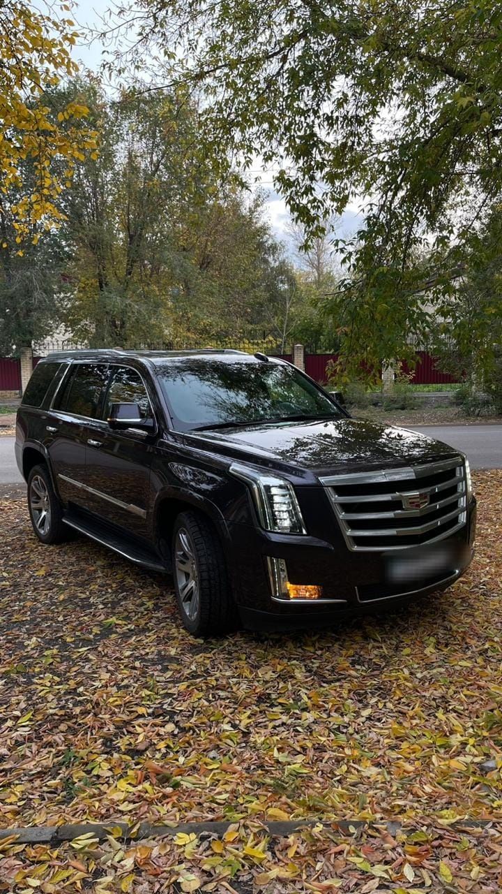 Аренда Авто С водителем / Прокат машин/ PRIME Auto
