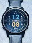 Garmin Fenix 6s pro