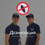 Клопы Тараканы Муравьи Дезинфекция Обработка Потравить