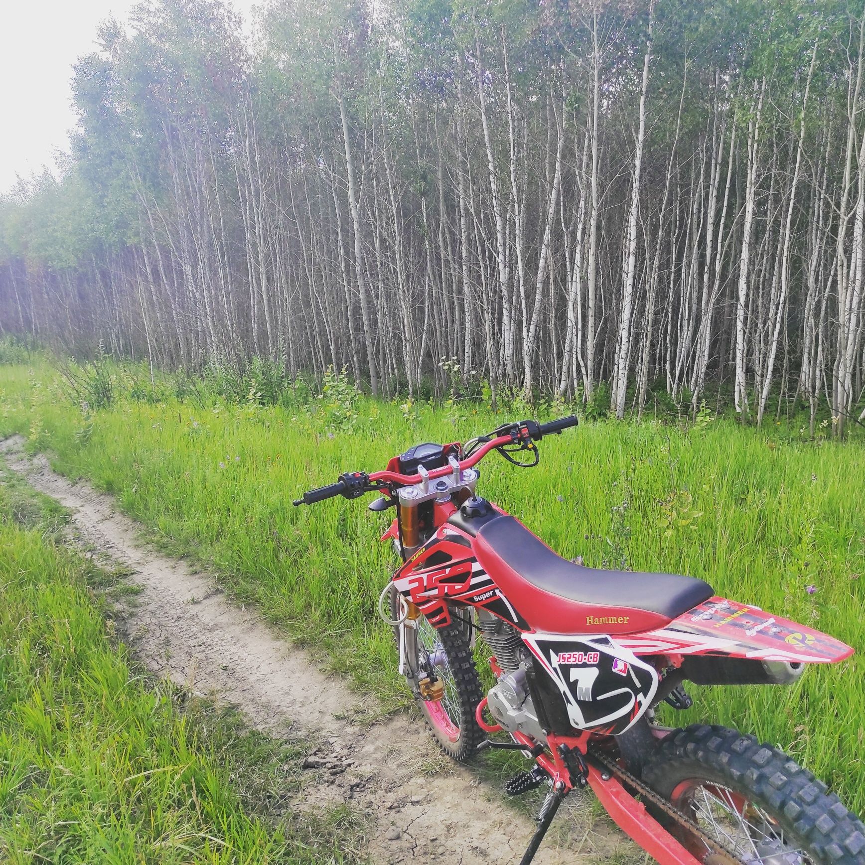Мотоцикл 250 (спорт-инвентарь)