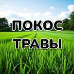 Покос травы триммером