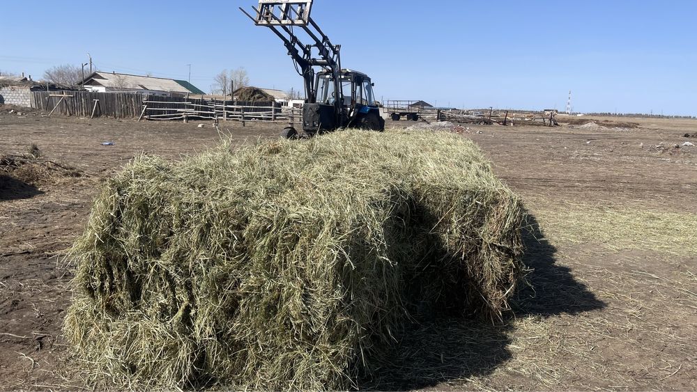 Продам сена в тюк лугавоие