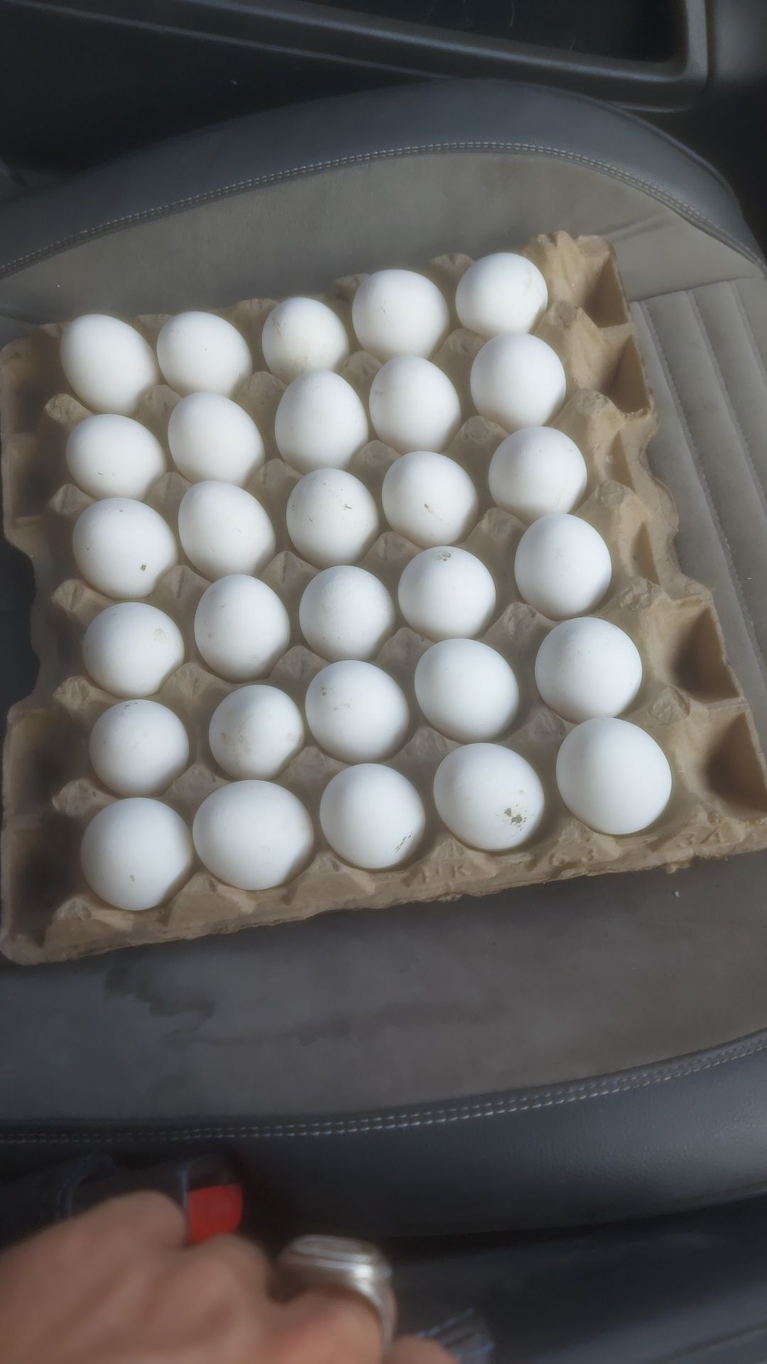 Продам яйцо домашние