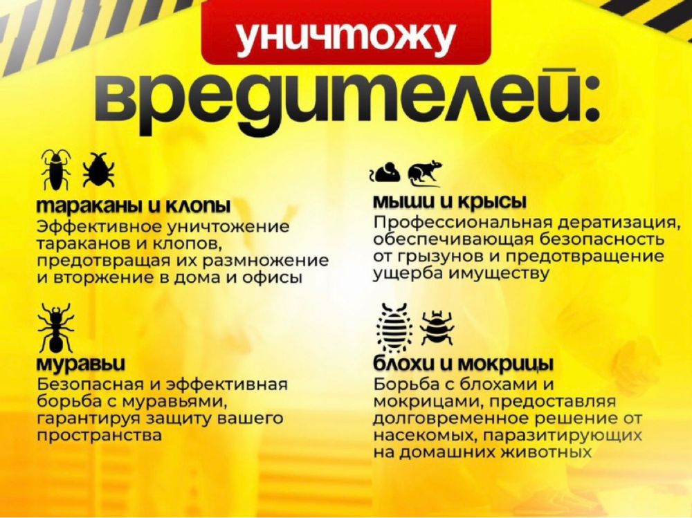 Дезинфекция уничтожение от тараканов клопов блох крыс мышей Обработка
