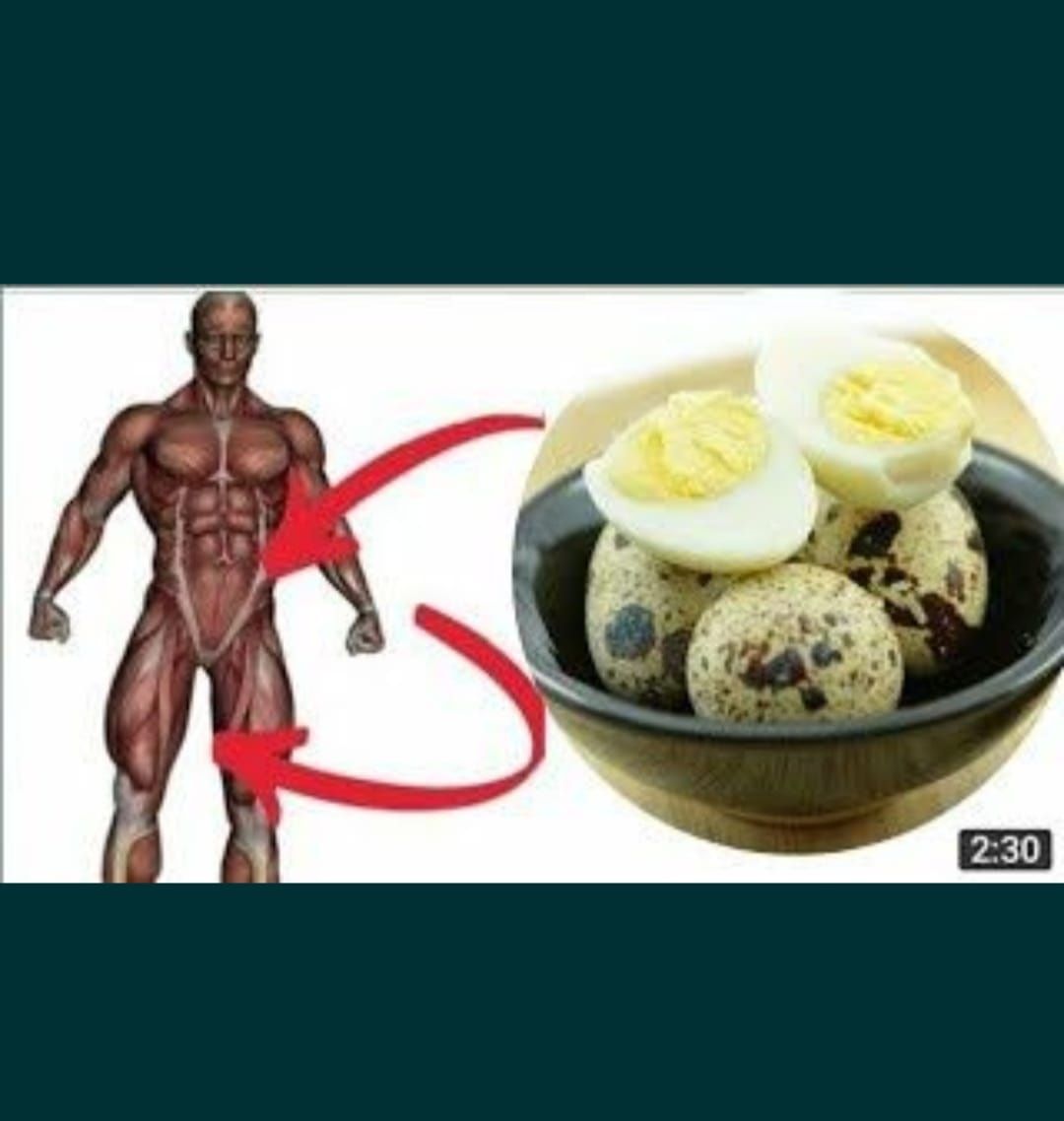 Емге бөдене еті. Мяса перепелов