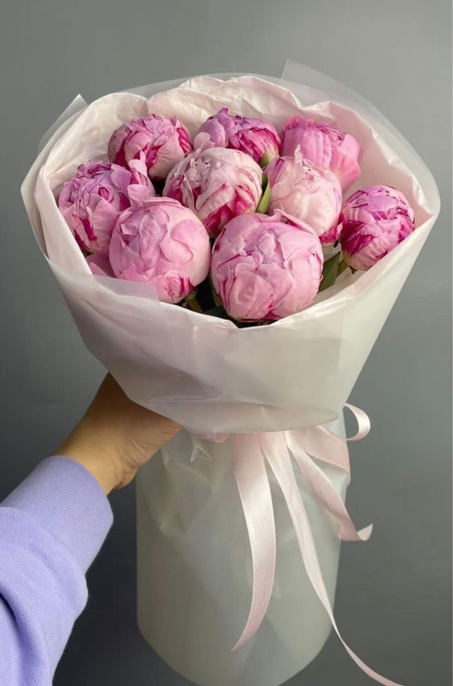 Пионы оптом пионы голландия