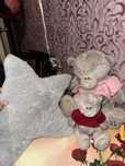 Мишки Teddy почти новые