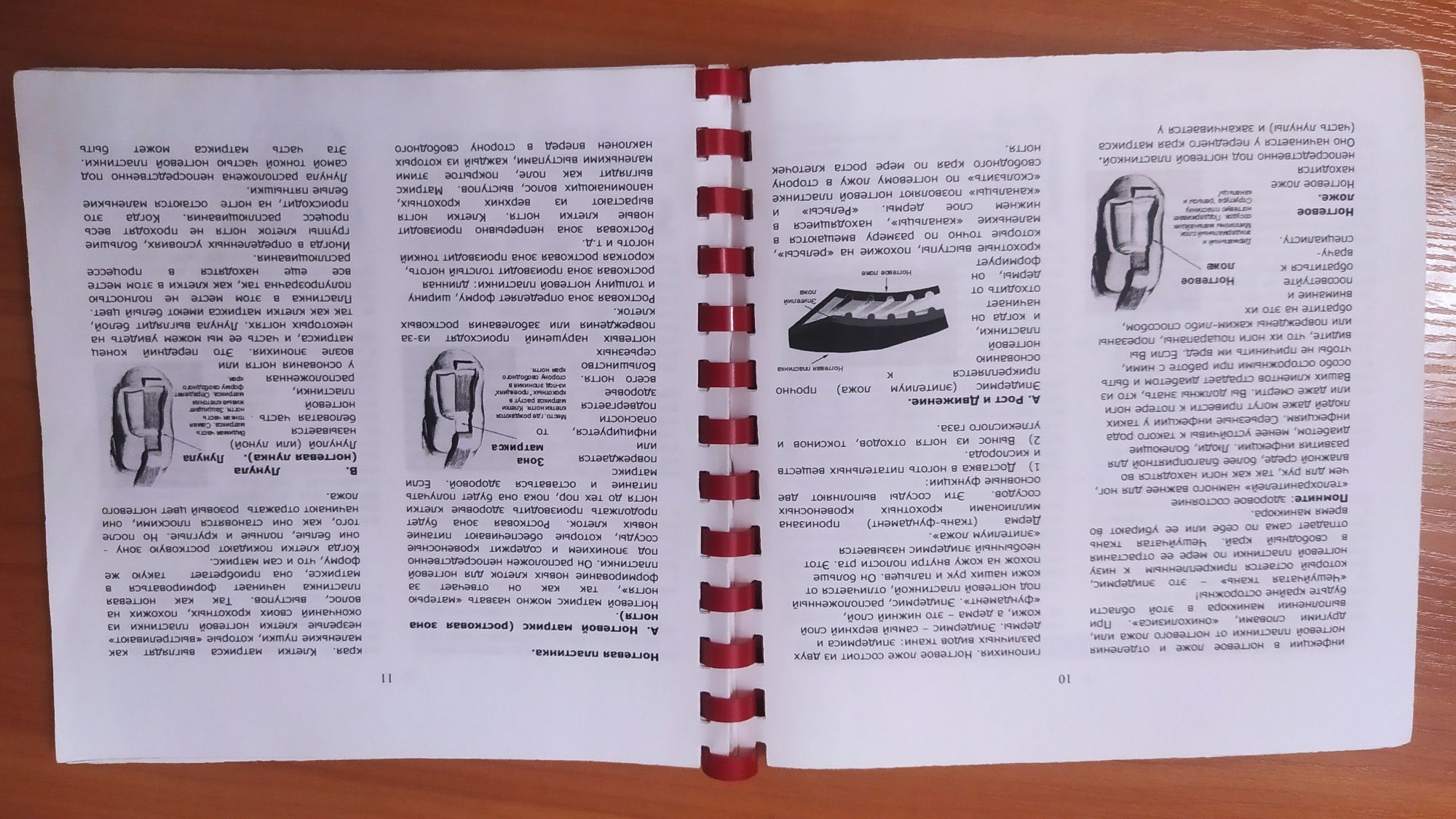 Профессиональное пособие для маникюра