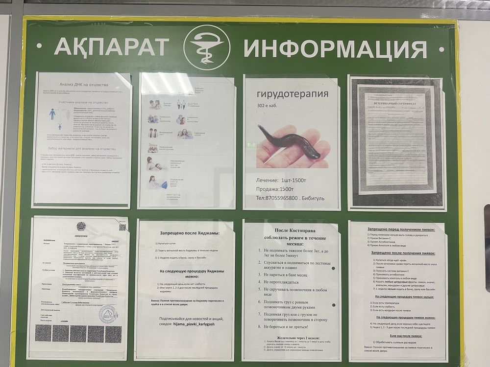 Пиявки Астана по 2000тг/шт