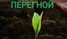 Перегной с доставкой на газ 53
