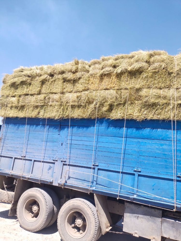 Продам сено тюкавое,продам сено тюкавое,продаммм сенооо,продам сено,