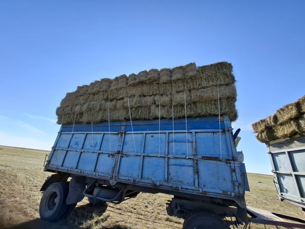 Продам сена хороши Бескарагай цена 650