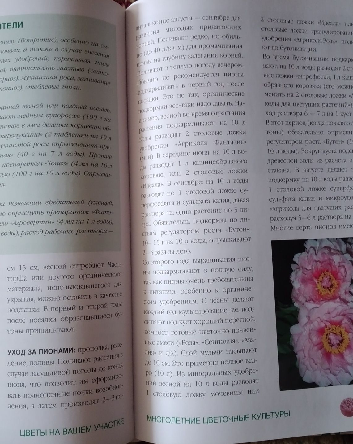 Книга О Цветах,растениях