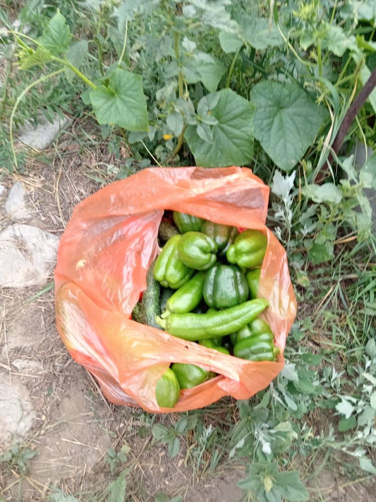 Срочно продам дачу на Бобровке